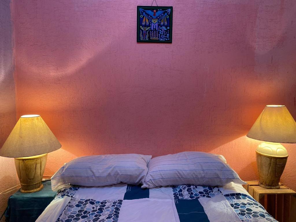 Hostal Del Centro En Slp 산루이스포토시주 외부 사진