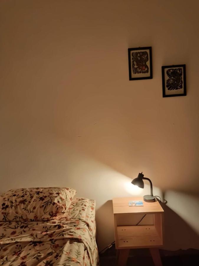 Hostal Del Centro En Slp 산루이스포토시주 외부 사진